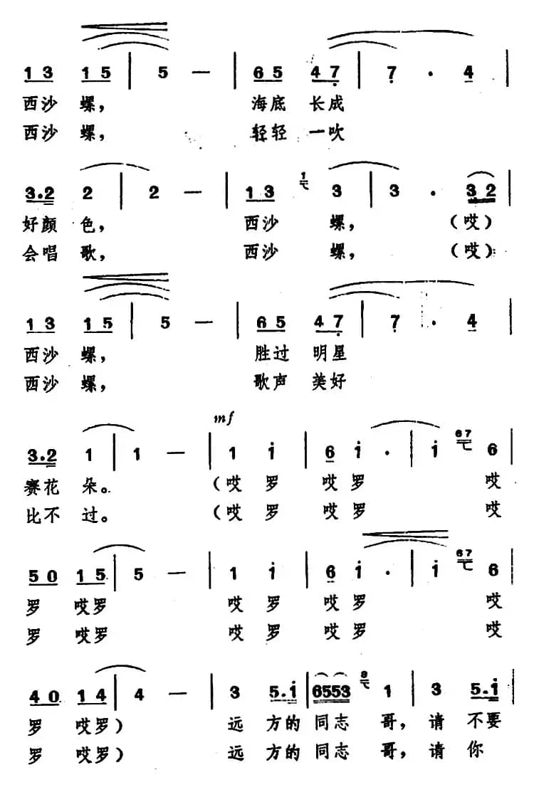 送你一枚西沙螺