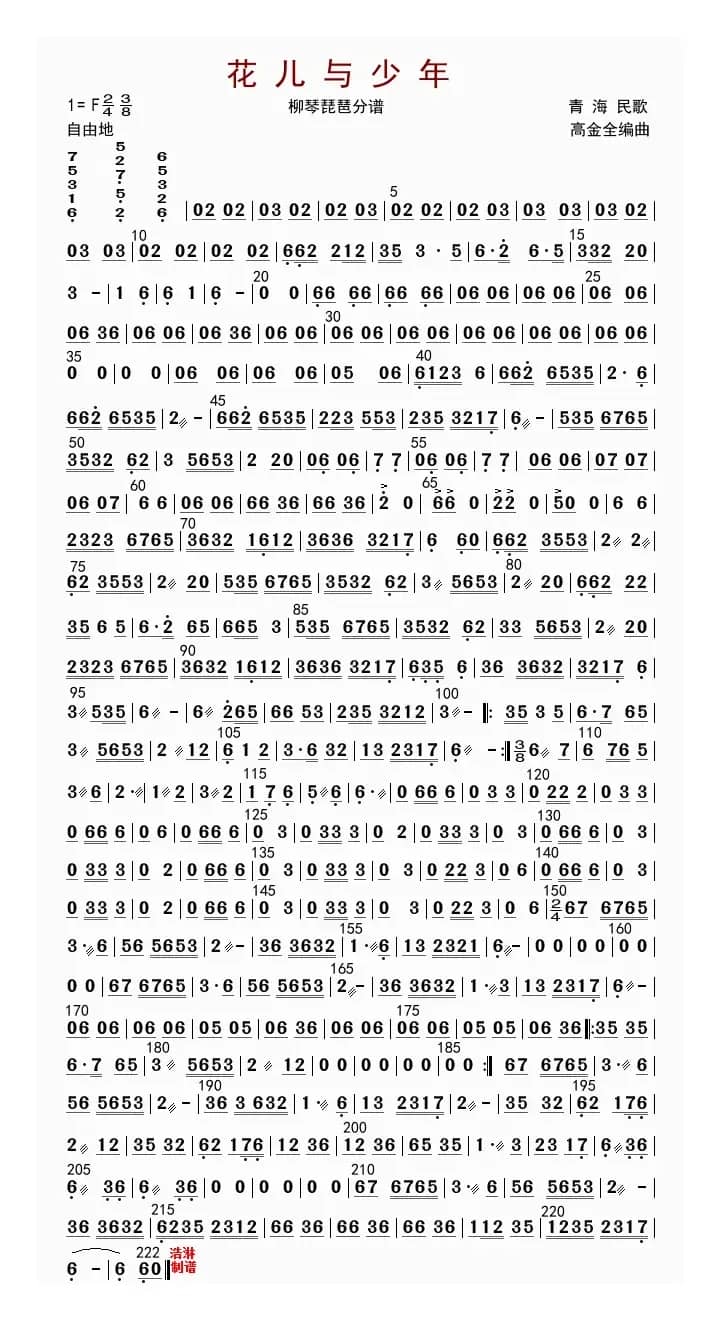 花儿与少年（琵琶分谱）