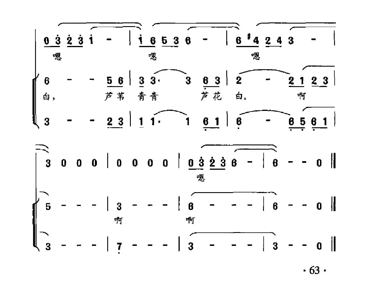 芦苇儿青青芦花儿白