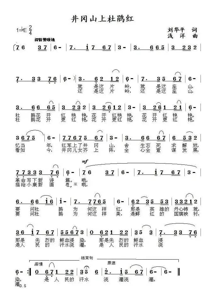 井冈山上杜鹃红