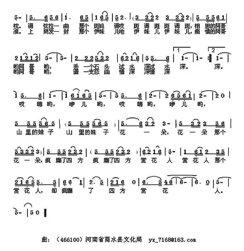 山里妹子花一朵