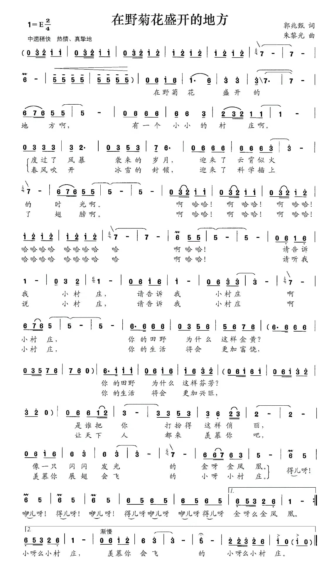 在野菊花盛开的地方