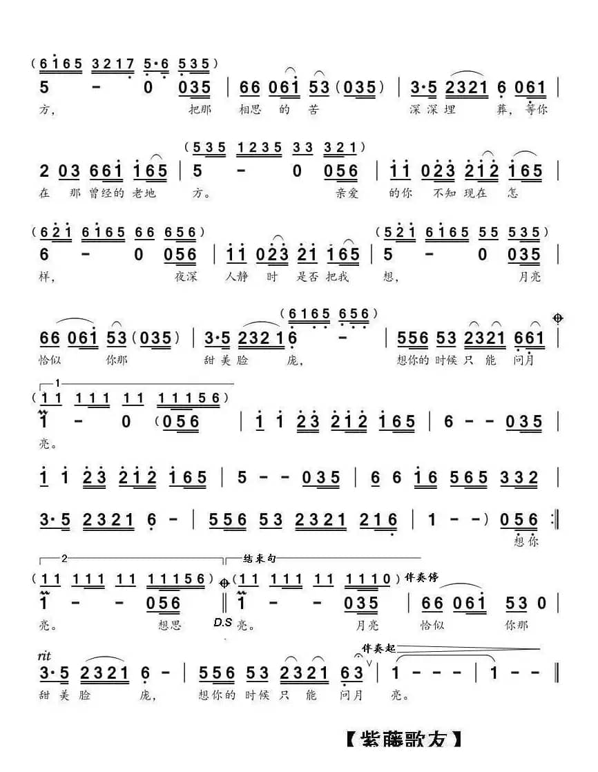 想你的时候问月亮（（雨中百合演唱））