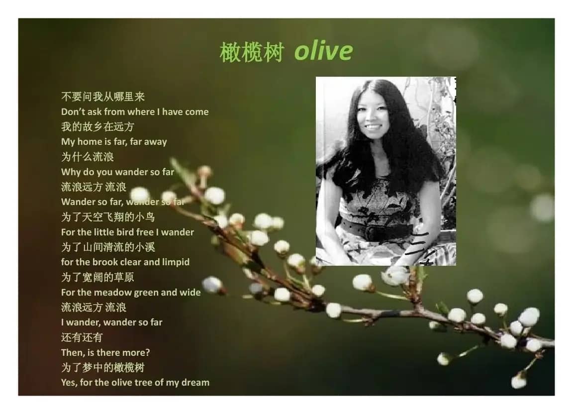 橄榄树（混声合唱）