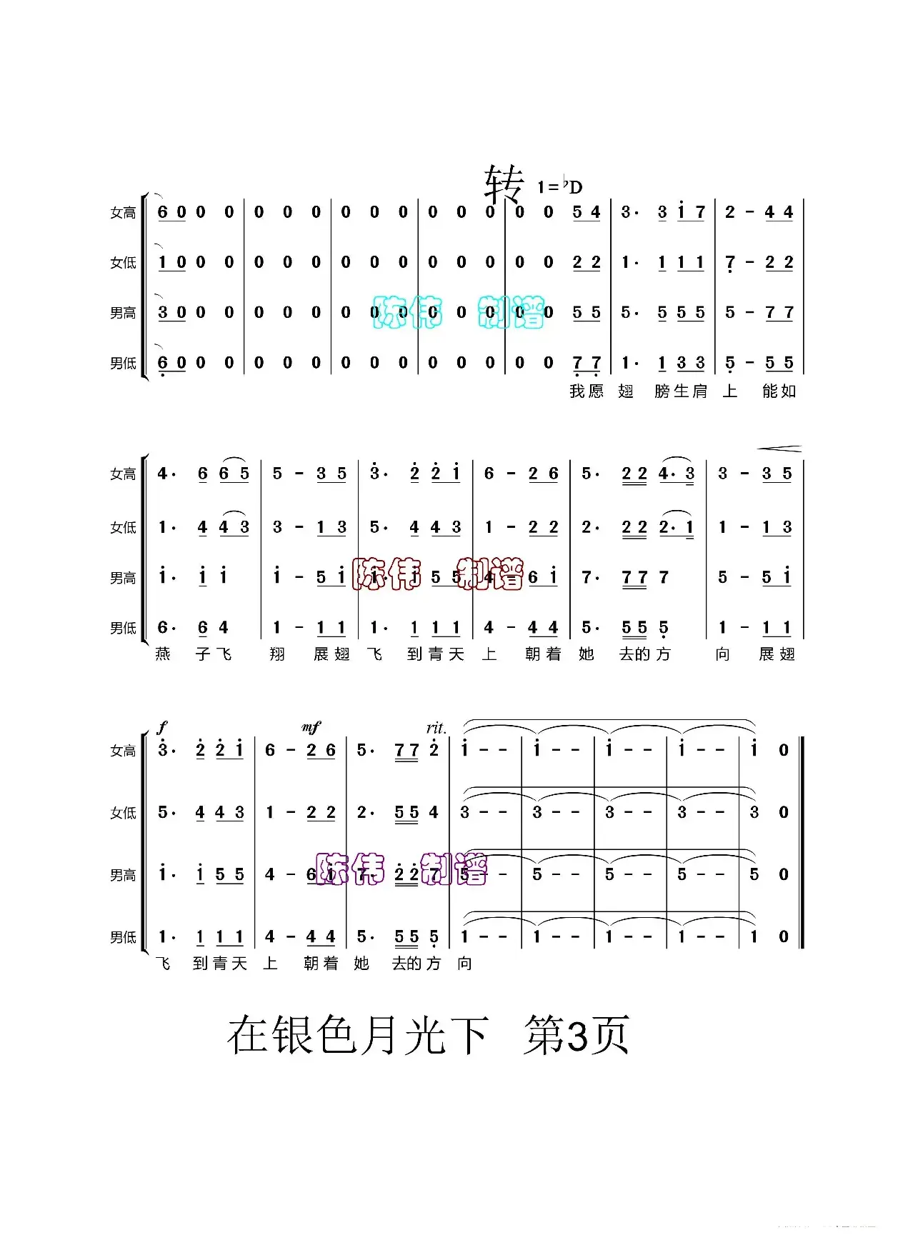 在银色的月光下