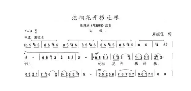 泡桐开花根连根