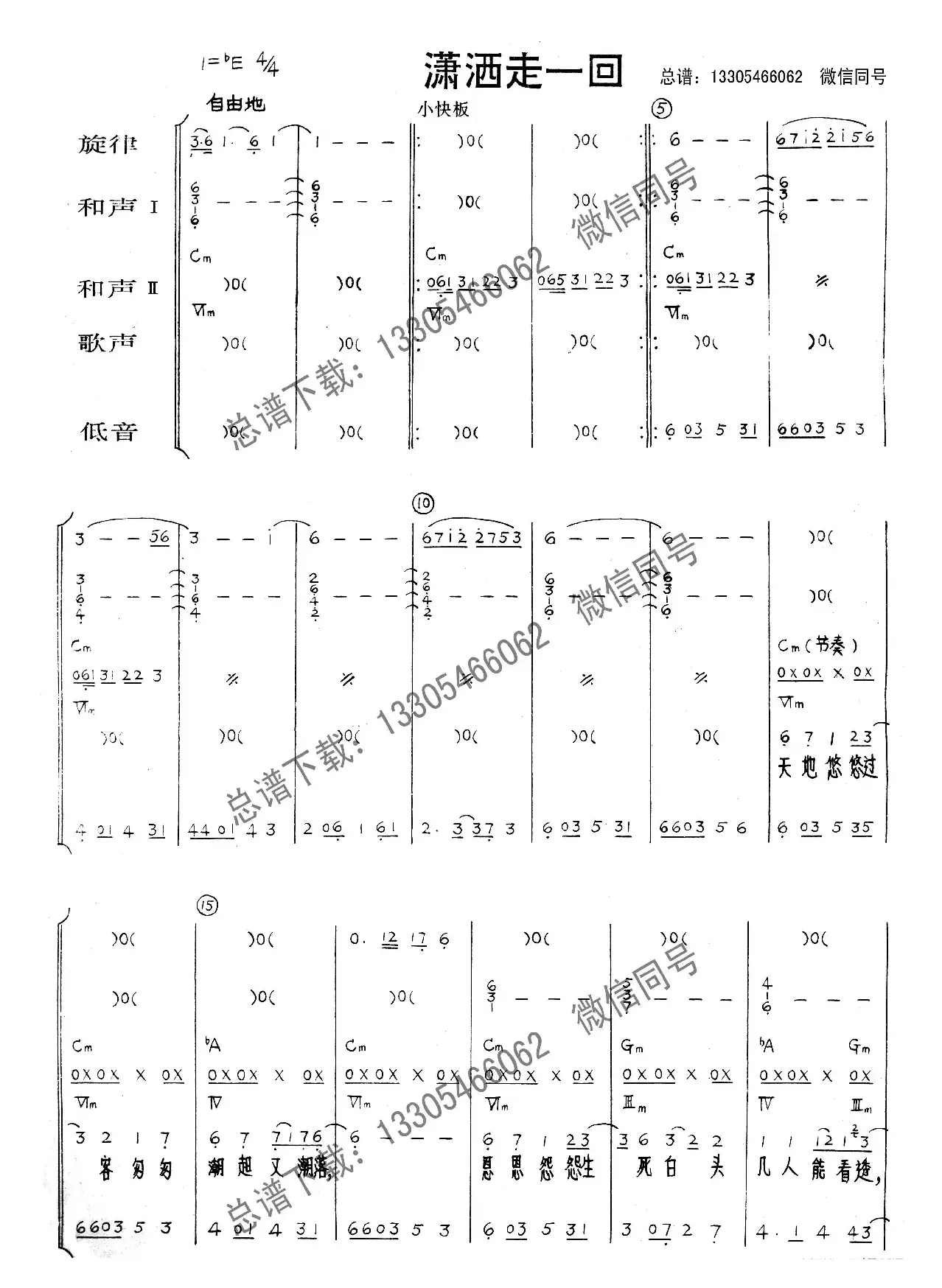 潇洒走一回（乐队总谱）