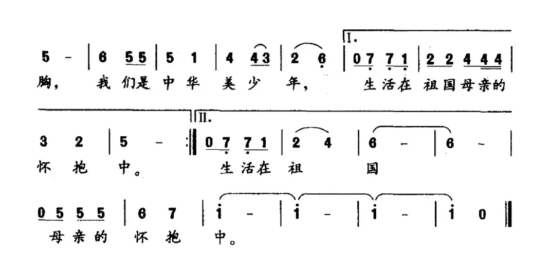 我们是中华美少年