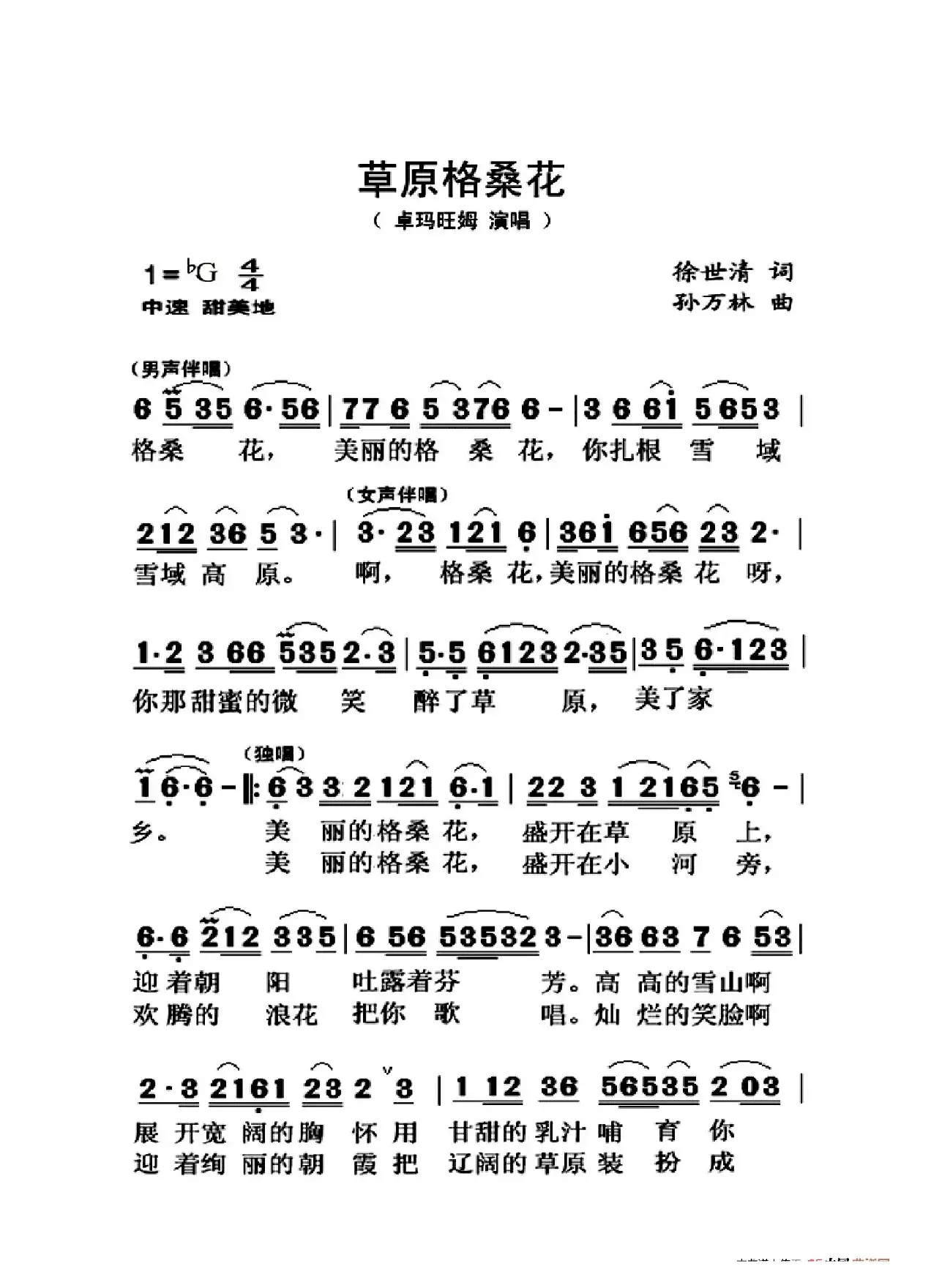 草原格桑花（大字老人适用）