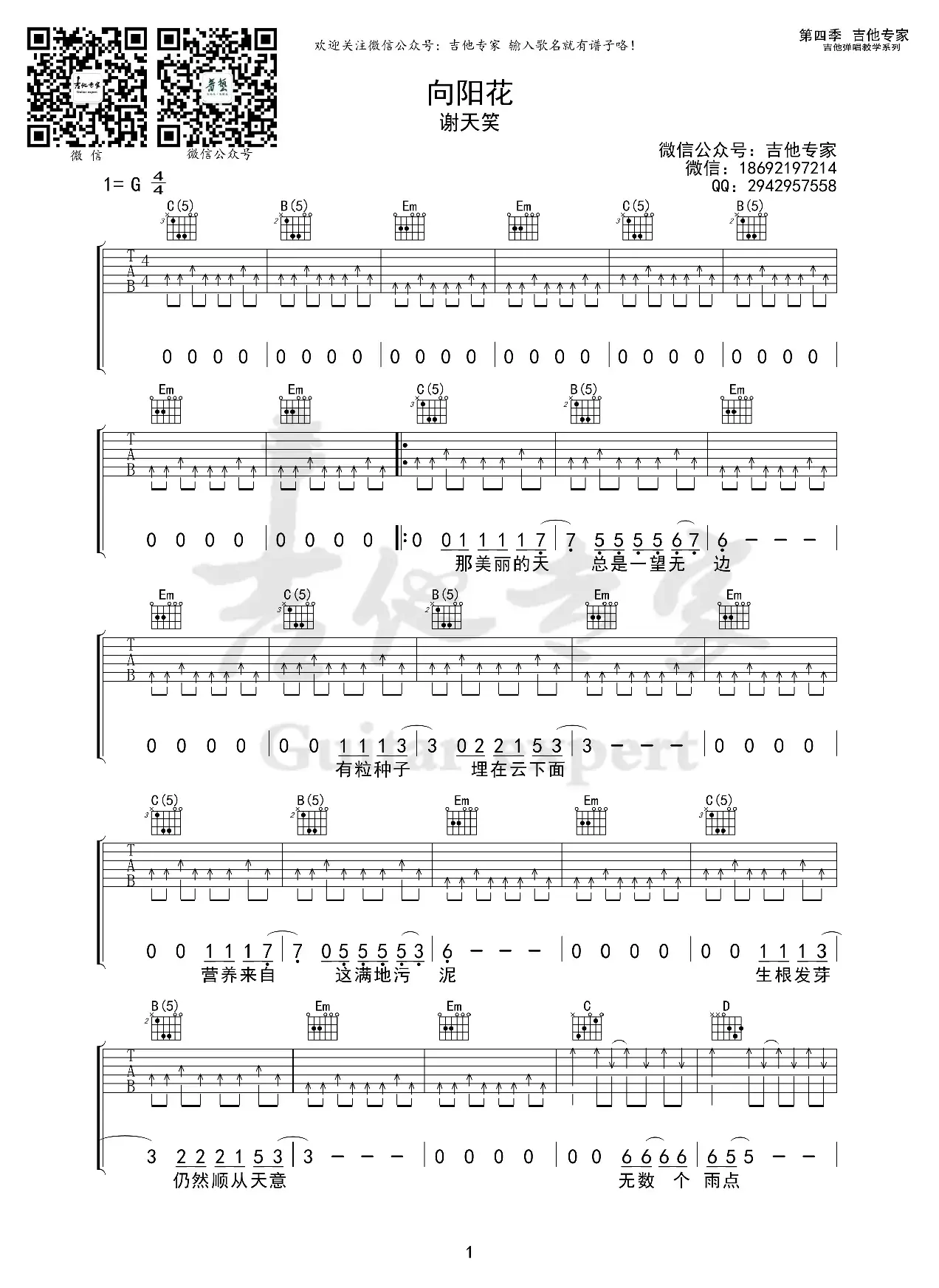 向阳花（免费吉他谱）