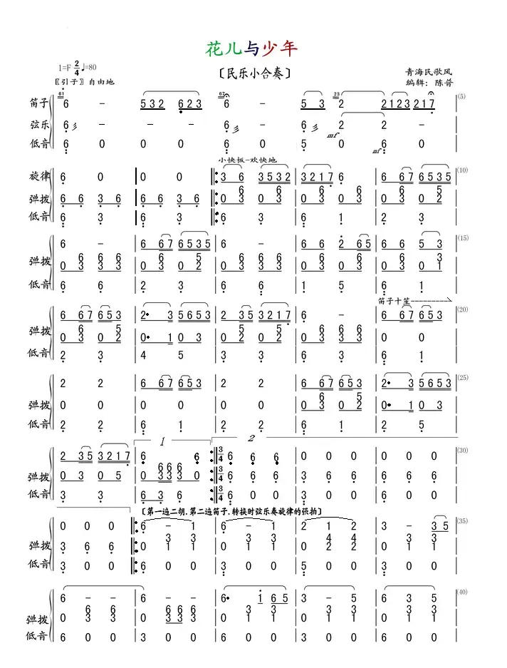 花儿与少年（民乐小合奏）
