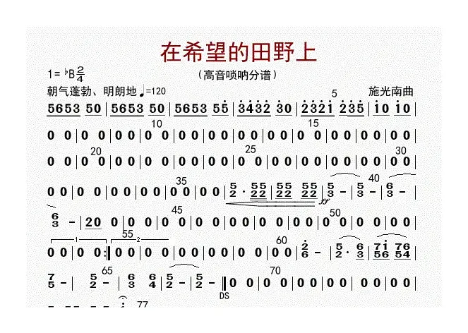 在希望的田野上（高音唢呐分谱）