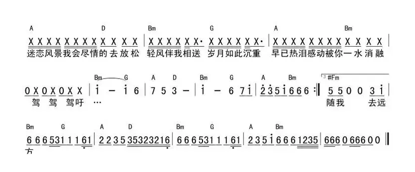 自由飞翔