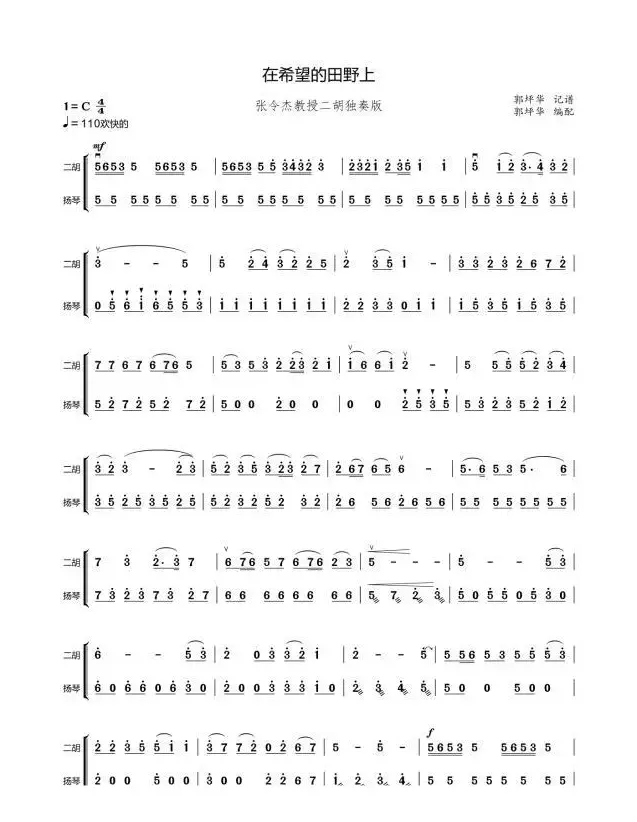 在希望的田野上（张令杰二胡独奏版）