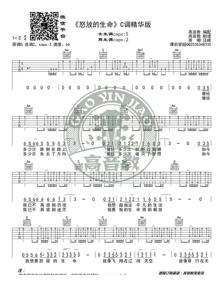 《怒放的生命》吉他谱C调精华版 高音教编配 猴哥吉他教学