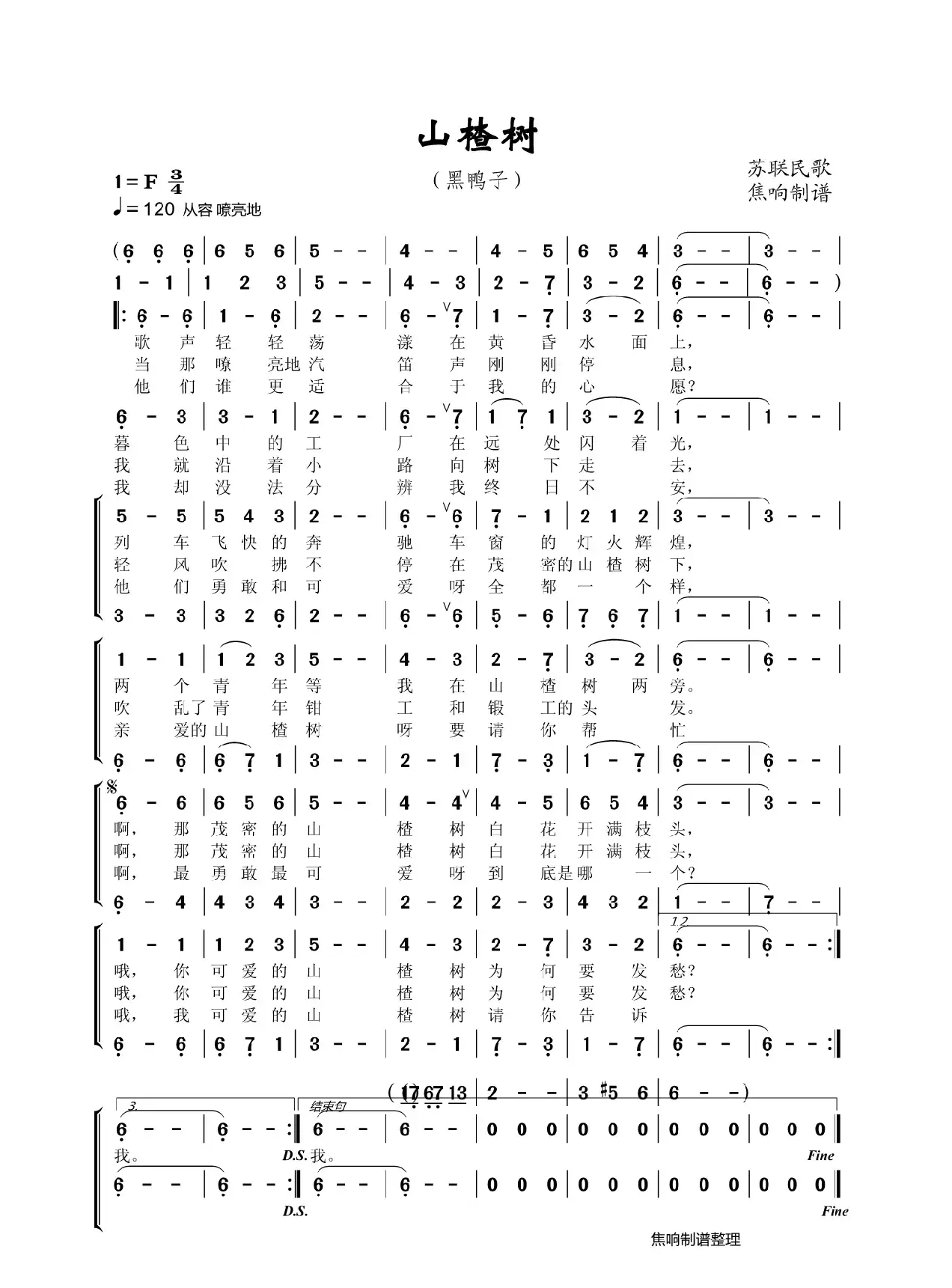 山楂树（黑鸭子）